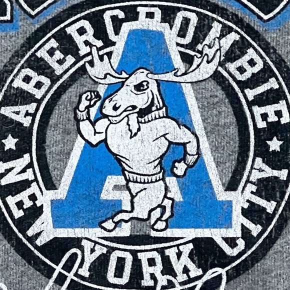 Abercrombie & Fitch New York Gray Kids Youth Pullover Sweatshirt - Picture 2 of 4